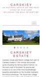 Mobile Screenshot of carskiey.com